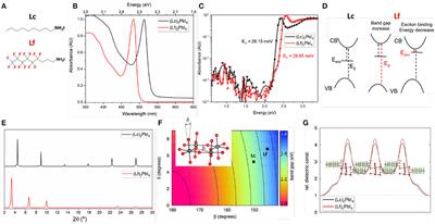Fluorination of Organic Spacer Impacts on the Structural and Optical Response of 2D Perovskites